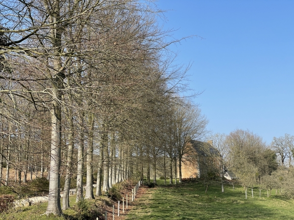 Nous traversons le Hanouard pour changer de rive. En face de nous, le manoir du Hanouard. Construit sur des fortifications du XIIe siècle, le manoir actuel est composé de parties qui vont du XVe au XVIIe.