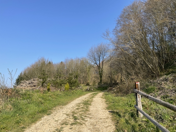 Nous montons le coteau boisé de la rive droite.
