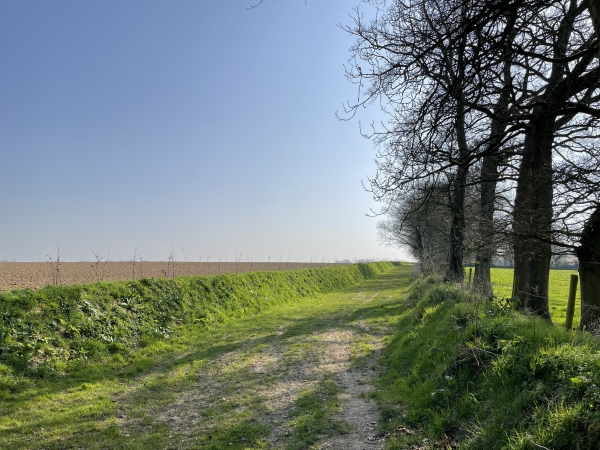 Nous traversons le plateau agricole en direction du manoir d'Auffay.