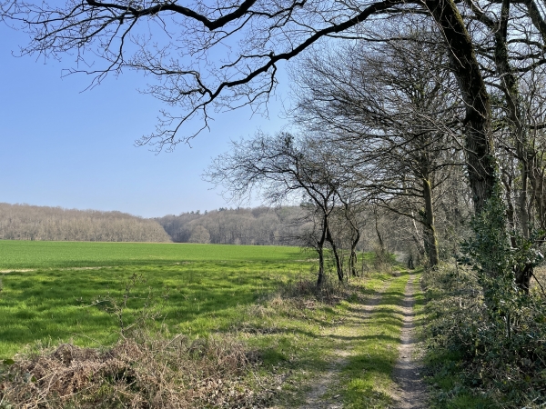 Nous continuons sur les chemins en direction de la D53.