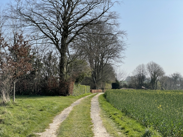 Nous tournons sur le chemin des Tilleurs, avant de rejoindre le chemin du Pival. Nous arrivons au hameau du Petit Veauville.