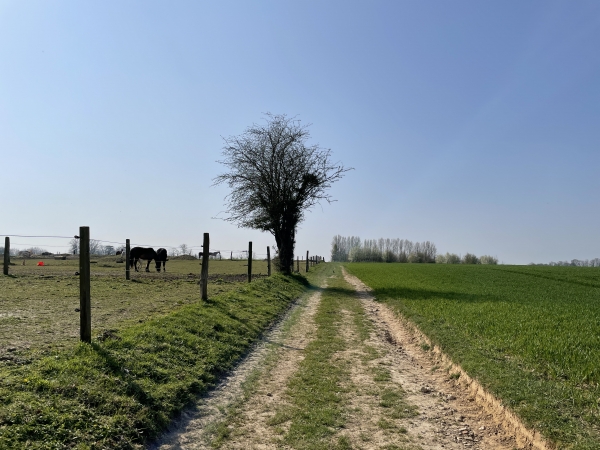 Nous suivons maintenant ce long chemin qui descend vers Héricourt.