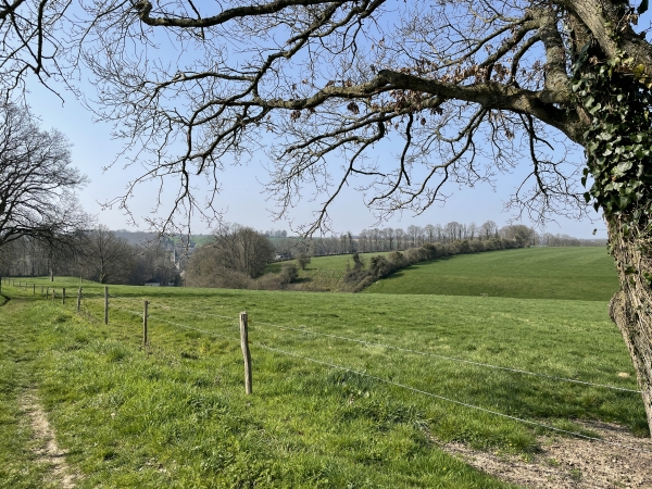 On distingue, en face, la flèche de l'église Saint-Denis de Héricourt.