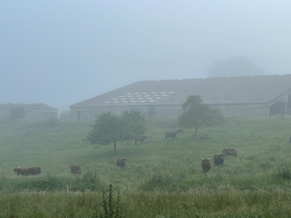 Nous arrivons au Haut de Barville, nous allons quitter le GR211.