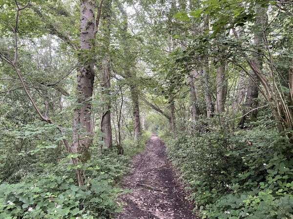 Nous descendons la Côte de Calvaille.