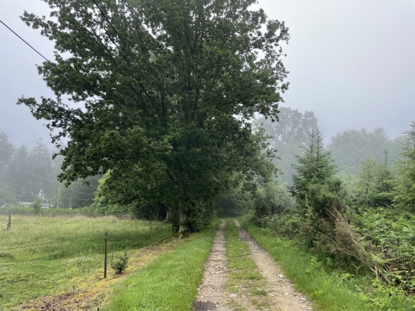 Nous sommes maintenant dans la plaine de Ruville, avec à notre droite la Côte de Calvaille.
