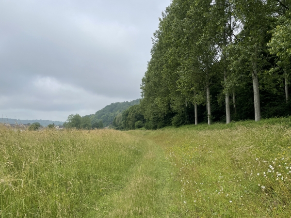 Nous quittons, enfin, la D75 pour entrer dans Grainville par ce chemin.