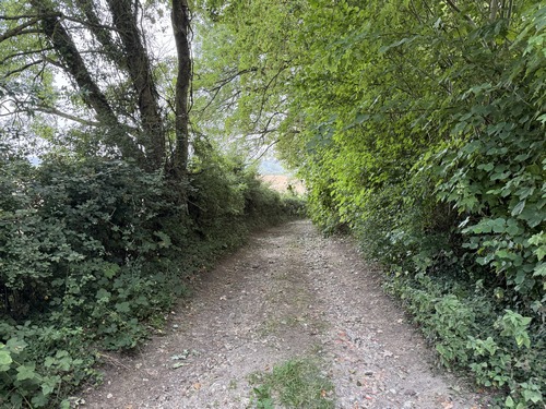 Près de l'église se trouve l'entrée du chemin qui descend vers Mesnil-Follemprise.