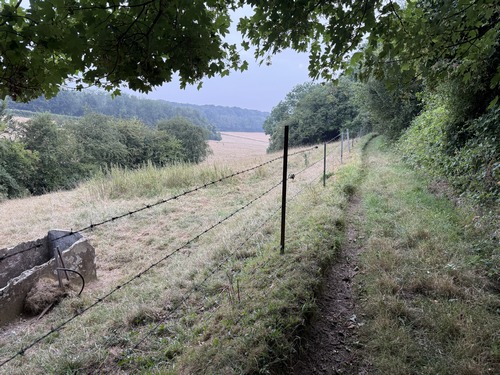 Le chemin domine le vallon.