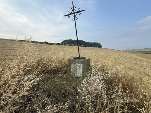 En plein champ se trouve ce mémorial. Le blé était coupé, nous avons pu nous approcher. Il est situé à la frontière entre Fresles et Mesnil-Follemprise, peut-être y avait-il un chemin à cet endroit. La plaque est illisible, sa photographie est dans l'album de la rando. Si quelqu'un sait la faire parler...