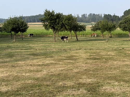 Paysages du Pays-de-Bray.