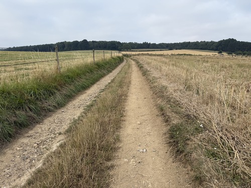 Le chemin des Charmilles monte paisiblement vers la forêt.