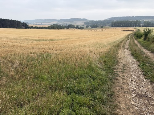 Regard arrière vers le vallon de Mesnil-Follemprise.