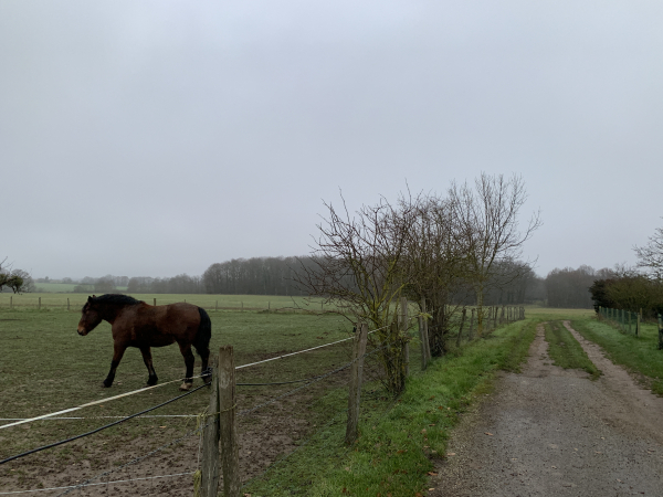 Nous sortons du Cormier par la rue des Hautes Rives qui devient un chemin et qui prend la direction du Vallon Froid.