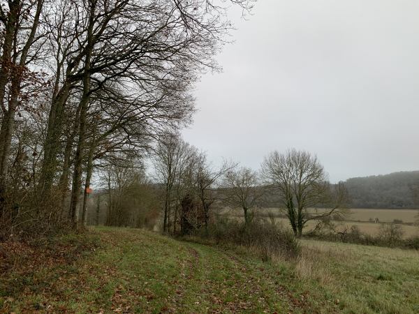 Peu avant le Vallon Froid, que l'on voit à droite, nous traversons le bois des Ruyaux, en descendant ici, puis en montant une fois le vallon atteint.