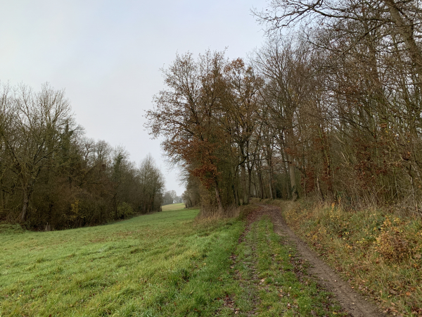 Après le Vallon Froid, nous remontons en direction du Bois Milon. Comme on le voit, malgré de nombreuses semaines de pluie, les chemins sont parfaitement praticables sur ce circuit.