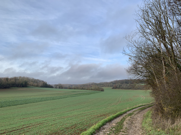 Nous longeons maintenant la Vallée du Buisson. Nous sommes en décembre, et les paysages restent vraiment agréables sur ce circuit.