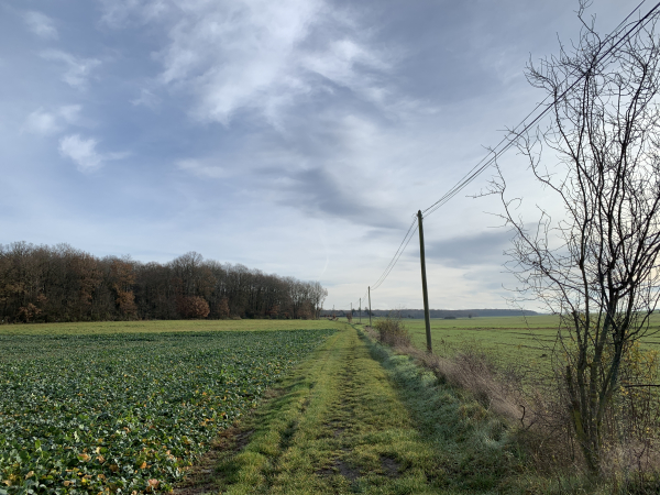Nous arrivons à la Houssaye du Cormier. Nous sommes à quelques mètres du territoire de la commune du Cormier, mais nous allons contourner le bourg pour entrer par le sud.