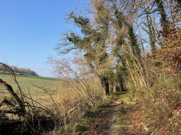 Toujours sur le GR224, nous suivons le chemin qui longe la Petite Vallée.