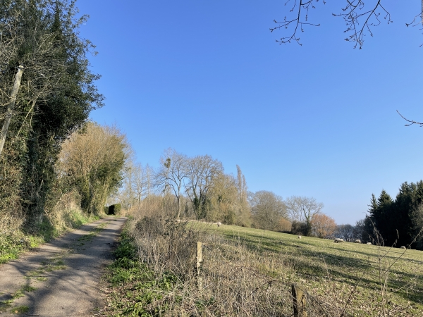 Nous montons sur le coteau ouest.