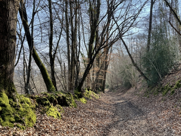 Nous descendons en direction de la Risle.