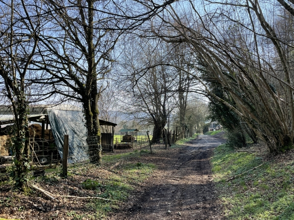 Nous arrivons dans la vallée et quittons les chemins.