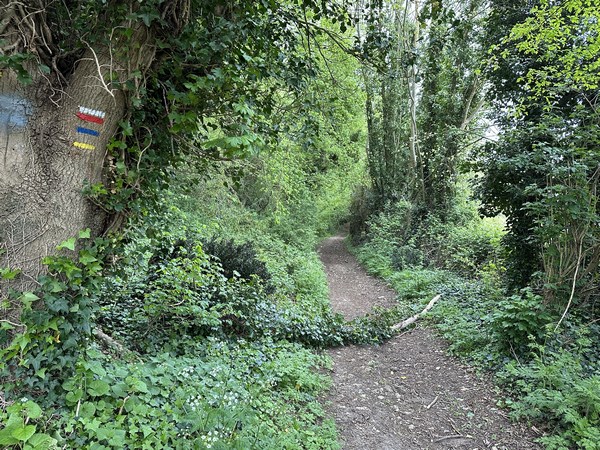 Nous suivons les balises du GR224 pour monter sur le coteau.