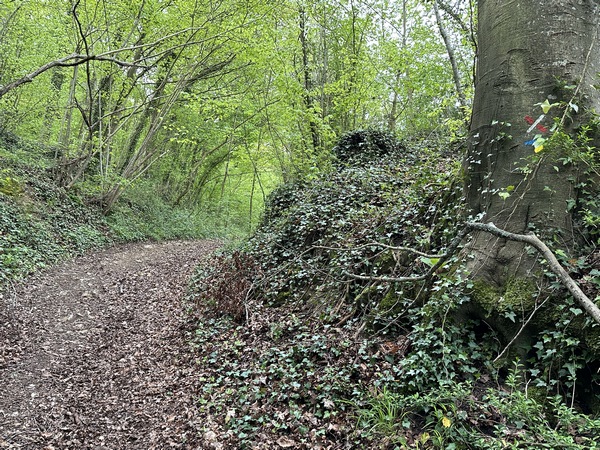 A mi-pente, nous quittons le GR224 et continuons vers le sommet.