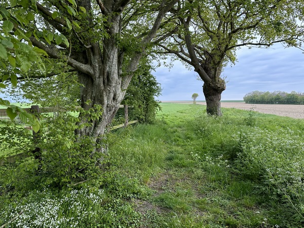 Au sommet, nous traversons le hameau Saint-Nicolas, et le quittons par le sentier d'Aptot qui traverse la plaine agricole de la Butte aux Chiens.