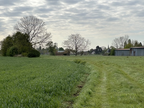 Nous distinguons la flèche de l'église Saint-Martin de Malleville-sur-le-Bec, mais nous n'allons pas entrer dans le village.