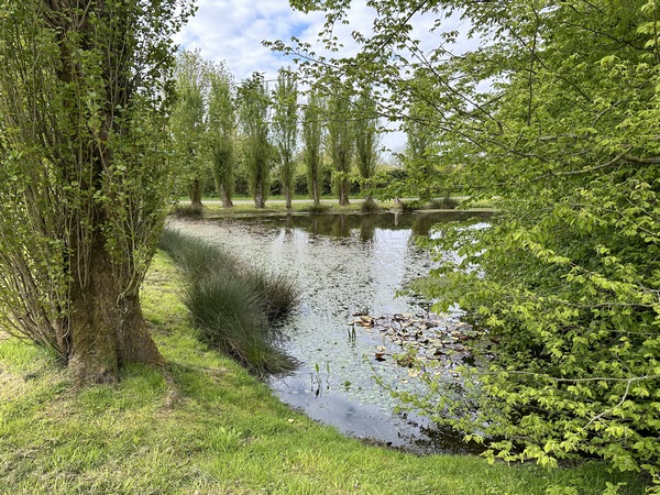 Nous longeons la Mare Ribière, et continuons sur la route des Granges.
