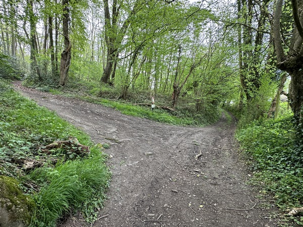 Avant d'arriver dans la vallée, nous tournons ici à gauche pour suivre le chemin de la Côte Saint-Martin.