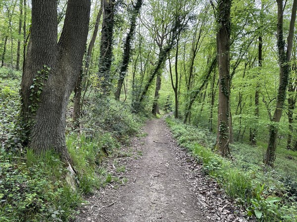 Le chemin de la Côte Saint-Martin avance à mi-pente au-dessus de la vallée.