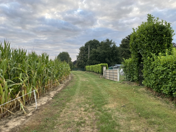 Nous entrons dans Catelon par ce chemin bien entretenu.