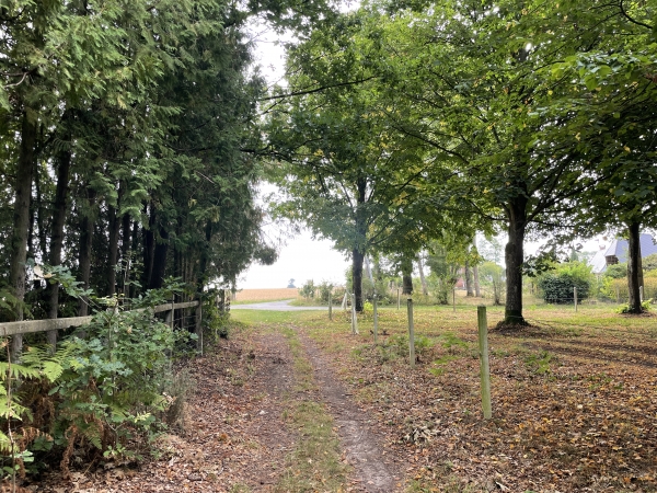 Nous sortons de la forêt, et continuons sur le chemin en face.
