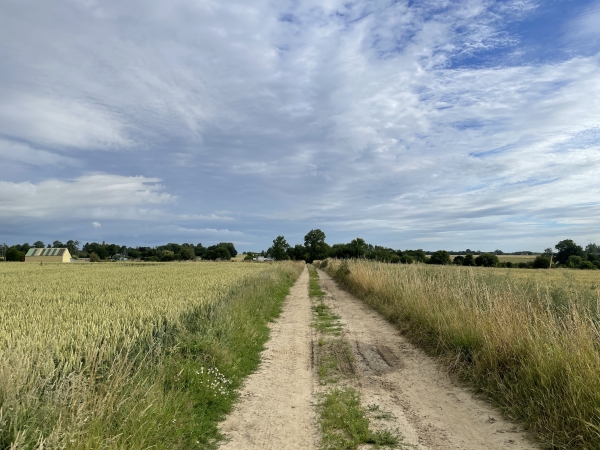 Après la ferme, nous suivons l'impasse des Massons.