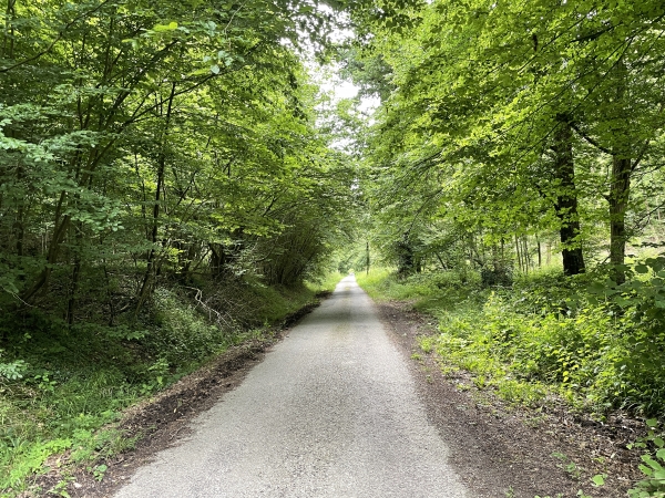 Nous traversons des bois privés qui bordent la forêt domaniale de Brotonne par cette route de la Boulière.