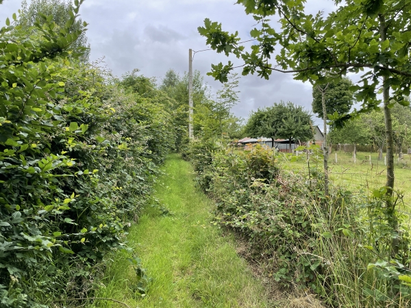 Au Guerrier, nous suivons ce chemin entre les propriétés.