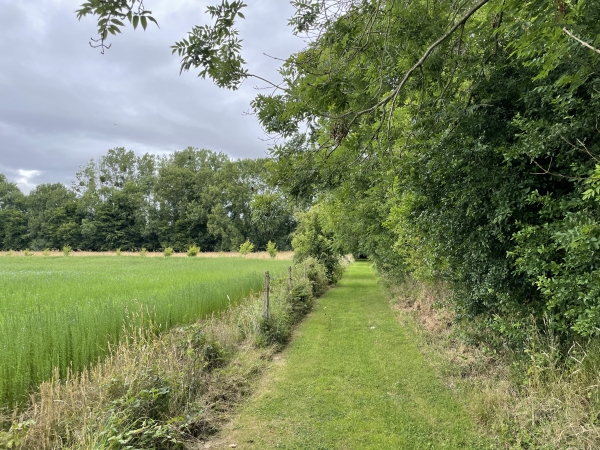 La commune de Bourneville-Sainte-Croix nous a déroulé le tapis vert le long des champs de lin.