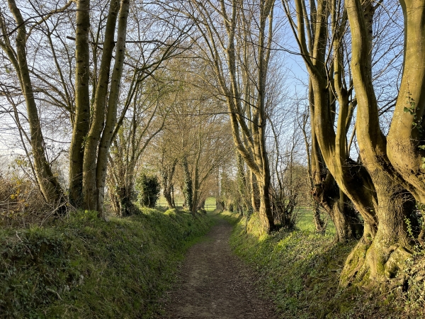 Nous sommes garés sur le parking de la mairie, et contournons le foyer rural par ce charmant chemin qui rejoint le chemin de Notre-Dame-de-Bonsecours.