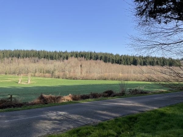 Nous arrivons sur la D47. Nous allons la traverser pour rejoindre le chemin du Val Dallet, qui serpente au pied du coteau boisé en face de nous.