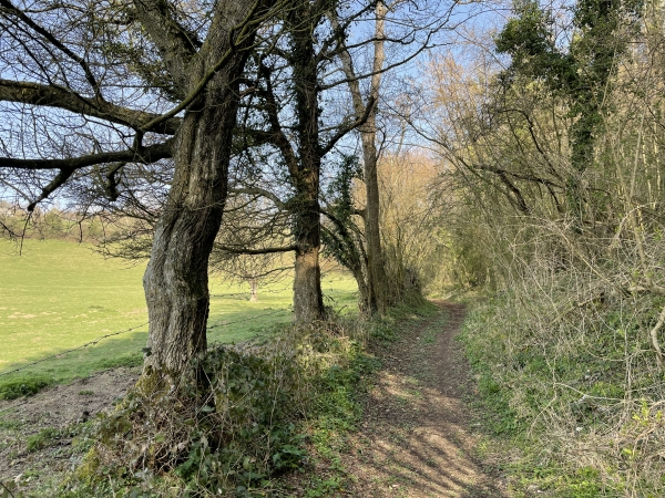 Le chemin du Val Dallet longe le côteau boisé. C'est un chemin très agréable, qui monte en pente douce vers le plateau de Cauverville.