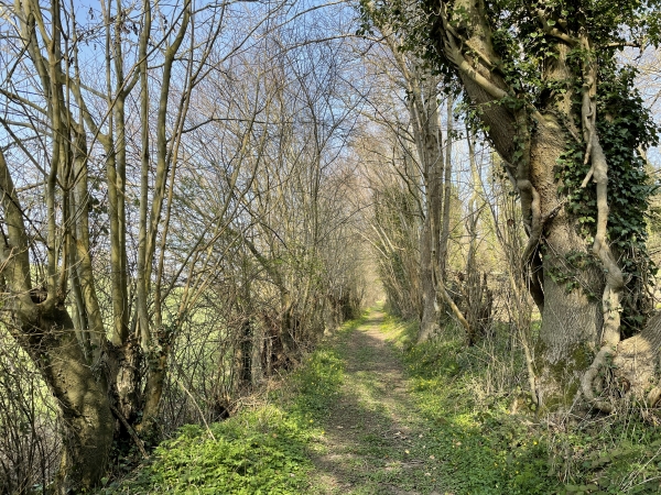 Nous allons prolonger le plaisir jusqu'au chemin de Rondemare, où nous pourrons tourner vers Brestot.