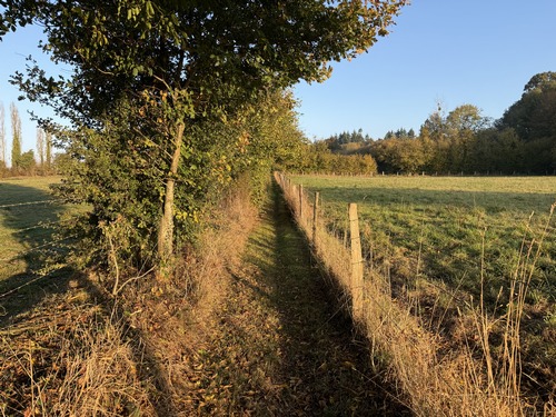 La lumière et la nature ont pris leurs tons d'automne.