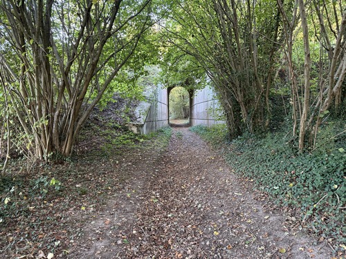 Notre chemin longe le bois des Vallots et passe ici sous la ligne de Serquigny à Oissel.