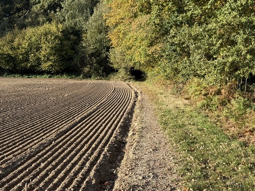 Nous traversons Bosc-Renoult-en-Roumois (Thénouville), départ d'une autre de nos randonnées, et sortons du bourg par le chemin du Pont Meunier.