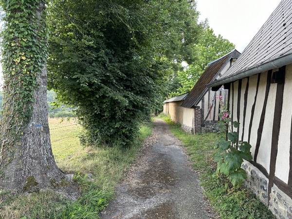 Nous entrons dans le chemin aux Febvres.