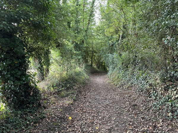 Le chemin aux Febvres descend vers la Fosse aux Loups, où coule l'un de ces nombreux ruisseaux qui alimentent la Risle.