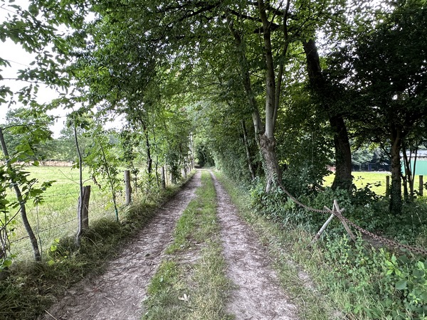 Nous marchons vers le hameau du Mont Joie.