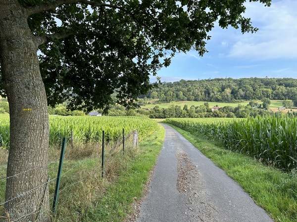 Nous suivons maintenant le Chemin des Préaux qui descend vers le ruisseau aux Moines.